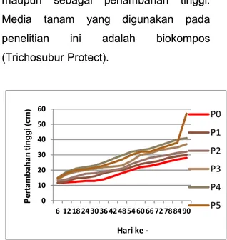 Gambar  1  Pertumbuhan Tinggi Tanaman    Bibit Kakao. 