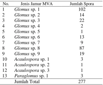 Tabel 1. Jenis dan Jumlah Spora Jamur MVA pada                Perakaran Bawang Mekah (E