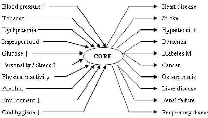 Gambar 3. Spider model: the relationship between risk factors and degenerative