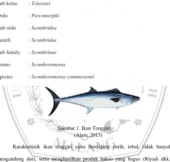 Gambar 1. Ikan Tenggiri  (Alam, 2013) 