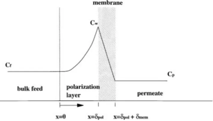 Gambar 2.1. Polarisasi konsentrasi pada membran 