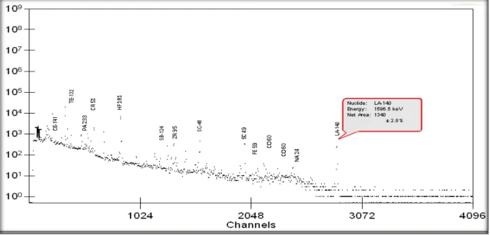 Gambar 1.  Spektrum radionuklida umur panjang untuk sampel mineral zirkon  [1] . 