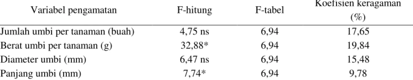 Tabel 2.  Hasil analisis ragam (uji F) pada  tiga klon ubi jalar ungu terhadap jumlah umbi per tanaman,  berat umbi per tanaman, diameter umbi dan panjang umbi 