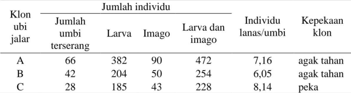 Tabel  5.  Kepadatan  populasi  lanas  pada  beberapa  klon  ubi  jalar  di  Kabupaten  Agam  Klon  ubi  jalar  Jumlah individu  Individu  lanas/umbi  Kepekaan klon Jumlah umbi  terserang 