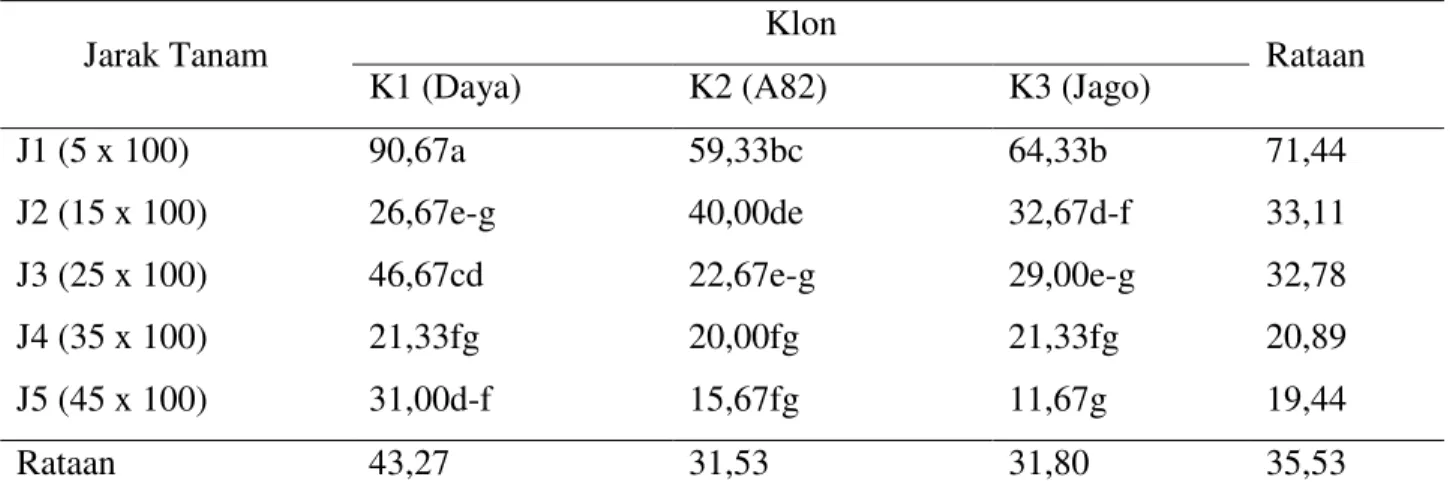 Tabel 9. Bobot satu umbi (g) per plot dari tiga klon ubi jalar pada jarak tanam yang berbeda 