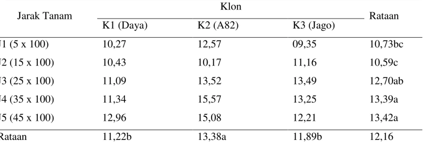 Tabel  5  menunjukkan  masing-masing  klon  memiliki  respons  yang  berbeda  terhadap  lilit umbi per sampel, jarak tanam berpengaruh  nyata  terhadap  lilit  umbi  per  sampel,  tetapi 