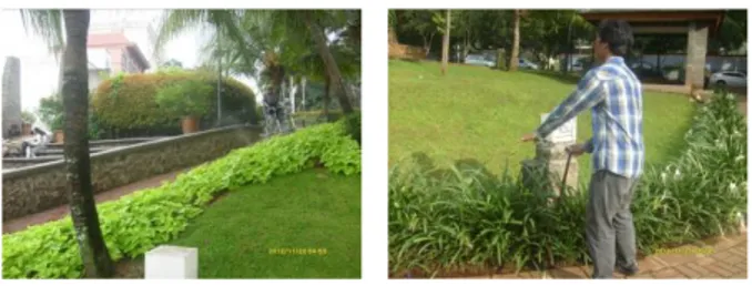 Gambar 8. Vegetasi di Taman Ayodia  Sumber : Dokumentasi Fika Masruroh, 2013 