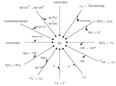 Gambar 3 Berbagai jalur pembentukan oksigen singlet (Min dan Boff 2002) 