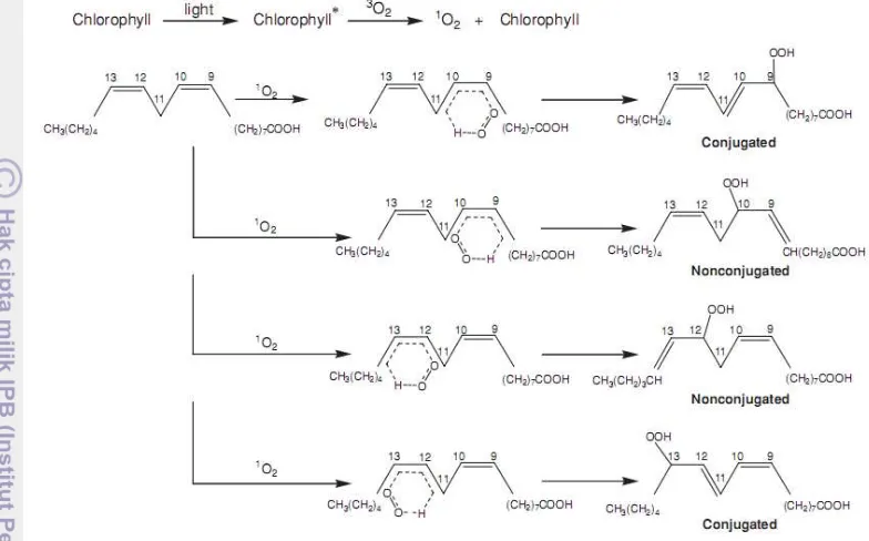 Gambar 6 Reaksi foto-oksidasi pembentukan hidroperoksida (Choe dan Min 2009) 