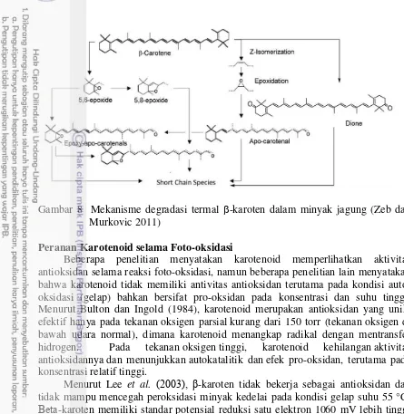 Gambar 8  Mekanisme degradasi termal -karoten dalam minyak jagung (Zeb dan 