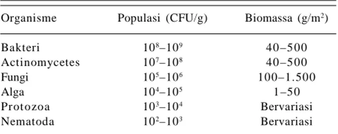 Tabel  2. Jumlah  relatif  dan  biomassa  organisme  tanah