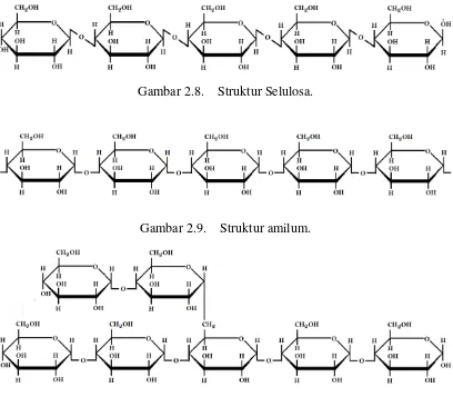 Gambar 2.8. Struktur Selulosa. 
