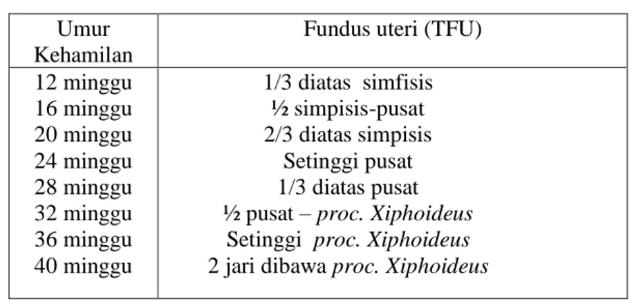 Tabel 2.6.   TFU dilakukan dengan palpasi fundus dan  membandingkan dengan patokan 