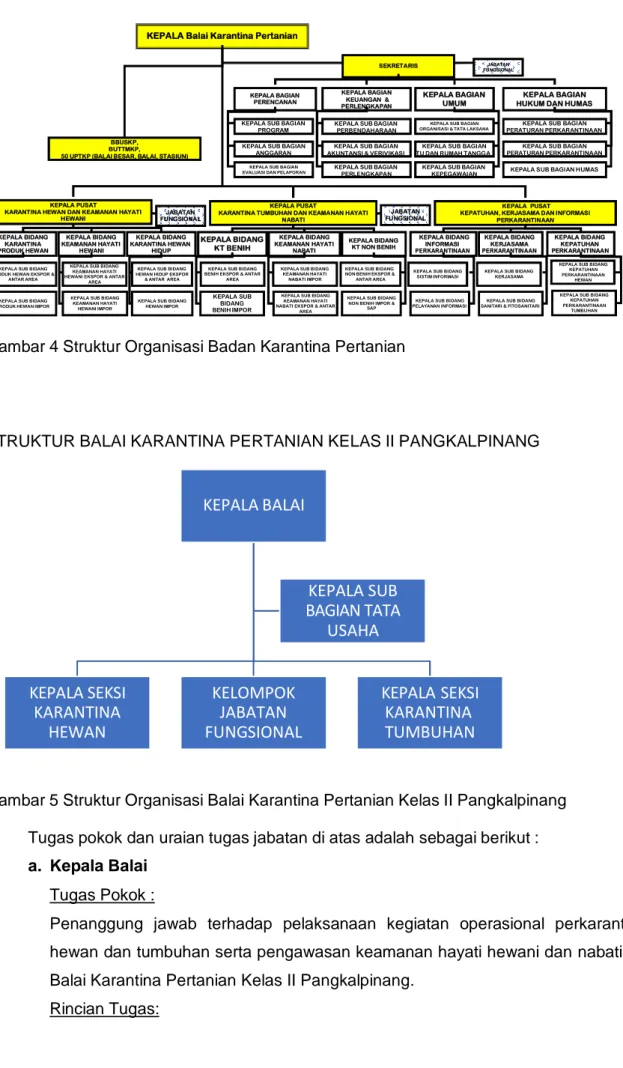 Gambar 5 Struktur Organisasi Balai Karantina Pertanian Kelas II Pangkalpinang  Tugas pokok dan uraian tugas jabatan di atas adalah sebagai berikut :  a