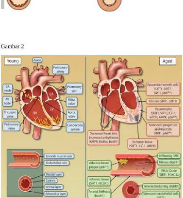 Gambar 27