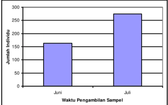 Gambar 2. Grafik Ikan Hasil Tangkapan di Estuaria Sungai  Musi Selama Bulan Juni-Juli 2013 