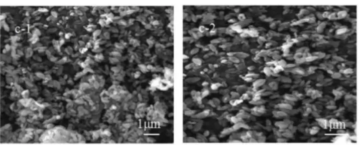 Gambar II.4 Scanning Electron Microscopy (Li et al., 2019) 