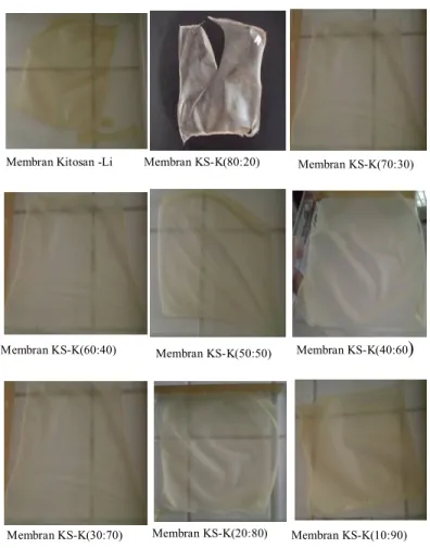 Gambar 2. Membran kitosan suksinat-kitosan dengan berbagai variasi massa dalam % (b/b) Membran Kitosan -Li Membran KS-K(70:30) 
