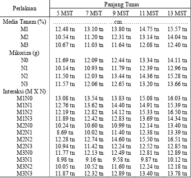 Tabel 4. Rataan panjang tunas 5-13 MST (cm) pada perlakuan media tanam dan pemberian mikoriza vesikula arbuskula  