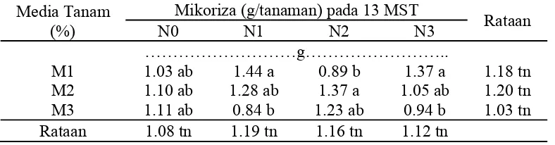 Tabel 7. Berat basah akar lateral 13 MST (g) pada media tanam dan pemberian mikoriza vesikula arbuskula  