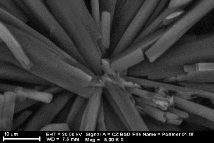 Gambar 3.5 SEM characterization of complex polymer {[Ni(NCS) 2 (2,4,5-trifenil-1H-imidazol) 2 (H 2 O) 2 ]· 