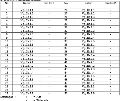 Tabel II. Hasil elektroforesis gen toxR pada Gel agarose 1,5 % dari telur penyu sisik (Eretmochelys imbricata) mentah