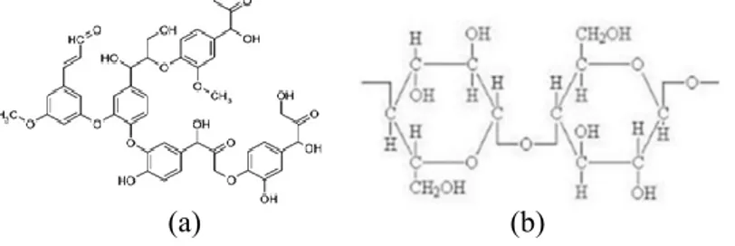 Gambar 2.1 (a) Struktur molekul lignin dan (b) struktur  molekul selulosa 