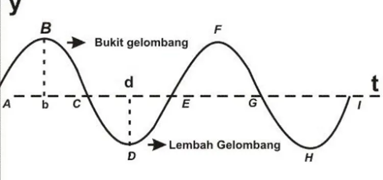 Gambar 2.2 Gelombang tranversal  (belajar.kemdikbud.go.id) 