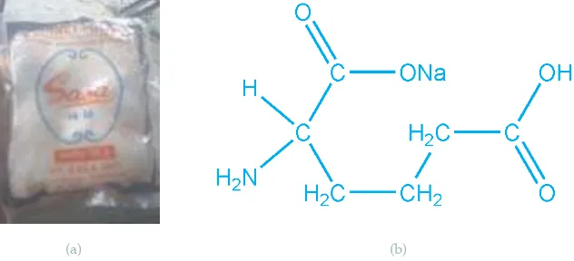 Gambar 5.12 Mono sodium Glutamat (a) produk di pasaran (b) struktur senyawaSumber : Dokumentasi penulis