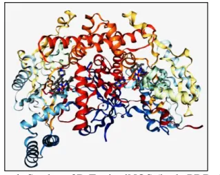 Gambar 1. Struktur 3D Enzim iNOS (kode PDB: 3E7G  https://www.rcsb.org/structure/3E7G)  
