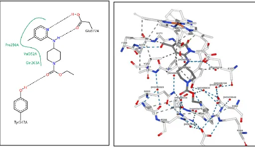 Gambar 2. Interaksi AR-C95791 dengan reseptor iNOS  (Garcin et al., 2008) Setelah  itu  reseptor  dioptimasi 