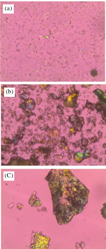 Gambar 7. Hasil mikroskop polarisasi perbesaran