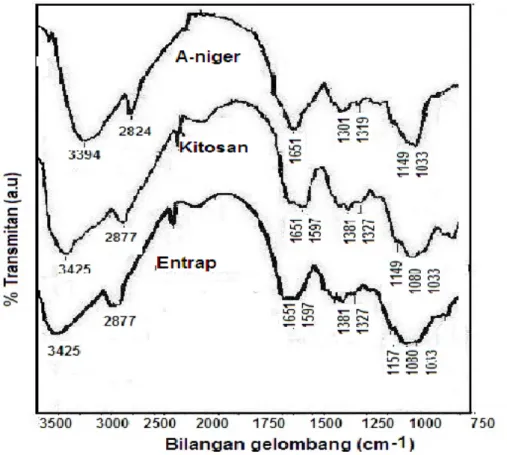 Gambar 2. Spektra FTIR biomassa Aspergillus niger, kitosan dan hasil pemerangkapan  Hasil  optimasi  pH  menunjukkan 