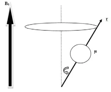 Gambar 2.3 Spin dengan medan magnet luar 