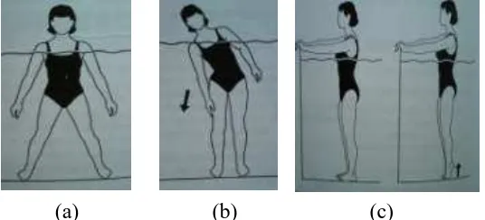 Gambar 2.2 (a) Straddle standing, (b) Thigh side bends, (c) Heel raises (Brody, 2009) 