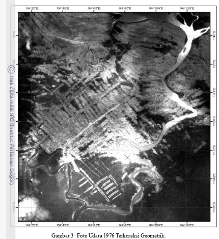 Gambar 3   Foto Udara 1976 Terkoreksi Geometrik.