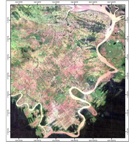 Gambar 4   Citra Landsat tahun 1989 Terkoreksi Geometrik.