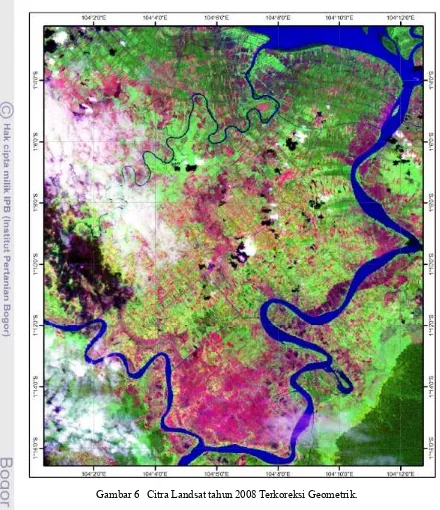 Gambar 6   Citra Landsat tahun 2008 Terkoreksi Geometrik.