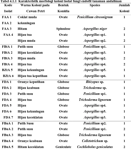 Tabel 4.1.1  Karakteristik morfologi koloni isolat fungi endofit tanaman andaliman  Kode Warna Koloni pada Bentuk  Spesies Jumlah  
