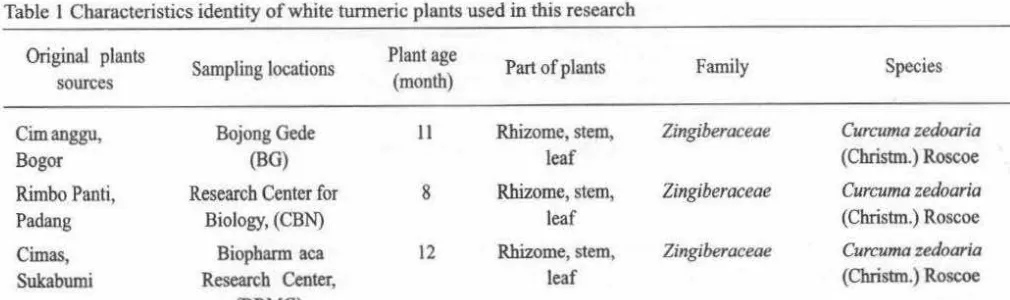 Table l Characteristics identity of white tunneric plants used in this research 