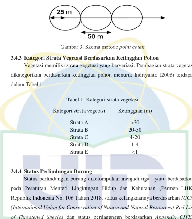 Gambar 3. Skema metode point count  3.4.3  Kategori Strata Vegetasi Berdasarkan Ketinggian Pohon 
