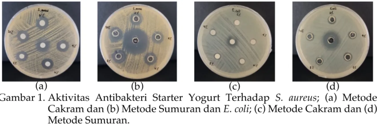 Gambar 1. Aktivitas  Antibakteri  Starter  Yogurt  Terhadap  S.  aureus;  (a)  Metode  Cakram dan (b) Metode Sumuran dan E