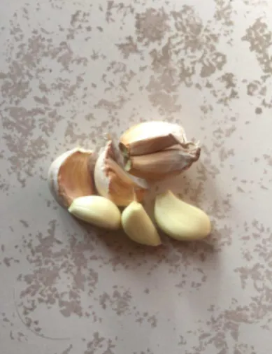 Gambar 2.2 Bawang Putih  (Dokumentasi pribadi, 2020) 