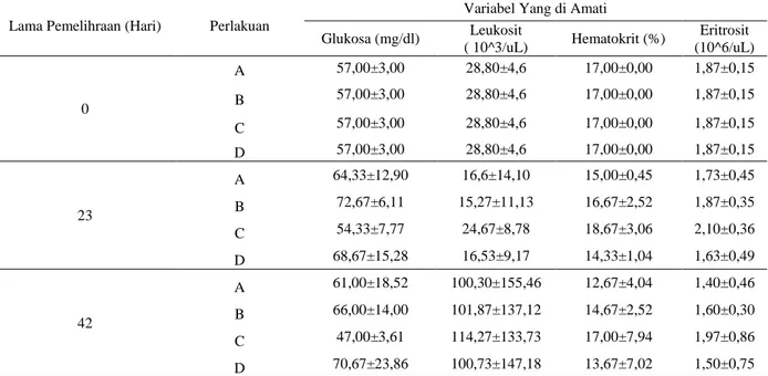 Tabel 2.  Hasil Uji Profil Darah Glukosa, Leukosit, Hematokrit dan Eritrosit pada Awal, Tengah dan Akhir pada  Ikan Tawes (P
