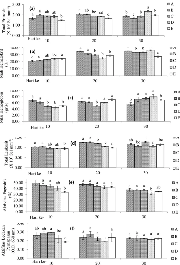 Gambar 1. Nilai total eritrosit (a), kadar hematokrit (b), kadar hemoglobin (c), nilai total leukosit (d), aktivi- aktivi-tas fagositik (e) dan aktiviaktivi-tas ledakan pernapasan (f) ikan lele yang dipelihara selama 30 hari