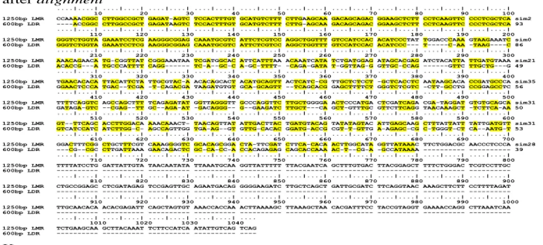 Gambar 6.  Grafik Jumlah Lele Mutiara  Transgenik F1 MTMNT, F1  MTS, dan Kontrol F1 MNTS 