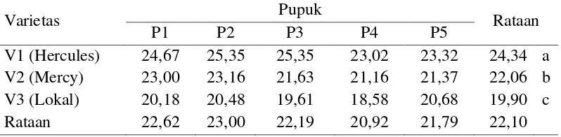 Tabel 7.   Rataan produksi buah per tanaman (g) terhadap varietas dan pemberian pupuk  