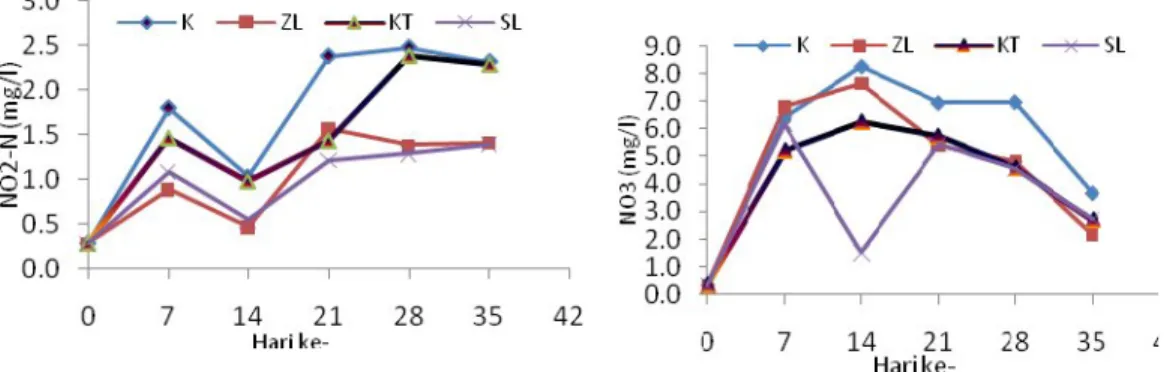 Gambar 3. Fluktuasi nitrit (NO 2 - )  dan nitrat (NO 3 - ) selama penelitianPertumbuhan dan kelangsungan hidup