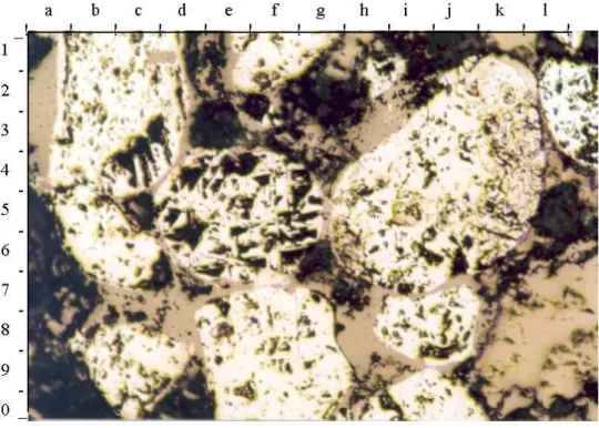 Foto 5.  Mikrofotograf yang memperlihatkan butiran pirit (b2, c9, e9, f1, i8,  i0) dan magnetit (e5) mengisi rongga batuan