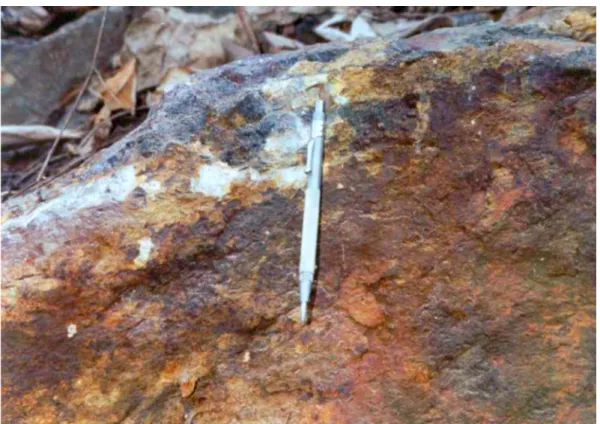 Foto 3.  Singkapan mineralisasi magnetit, pada intrusi  andesit Formasi Mandalika.  Lokasi : Ngadipuro